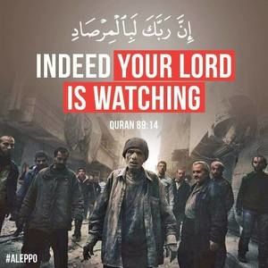 Meet your Posher, Yazan